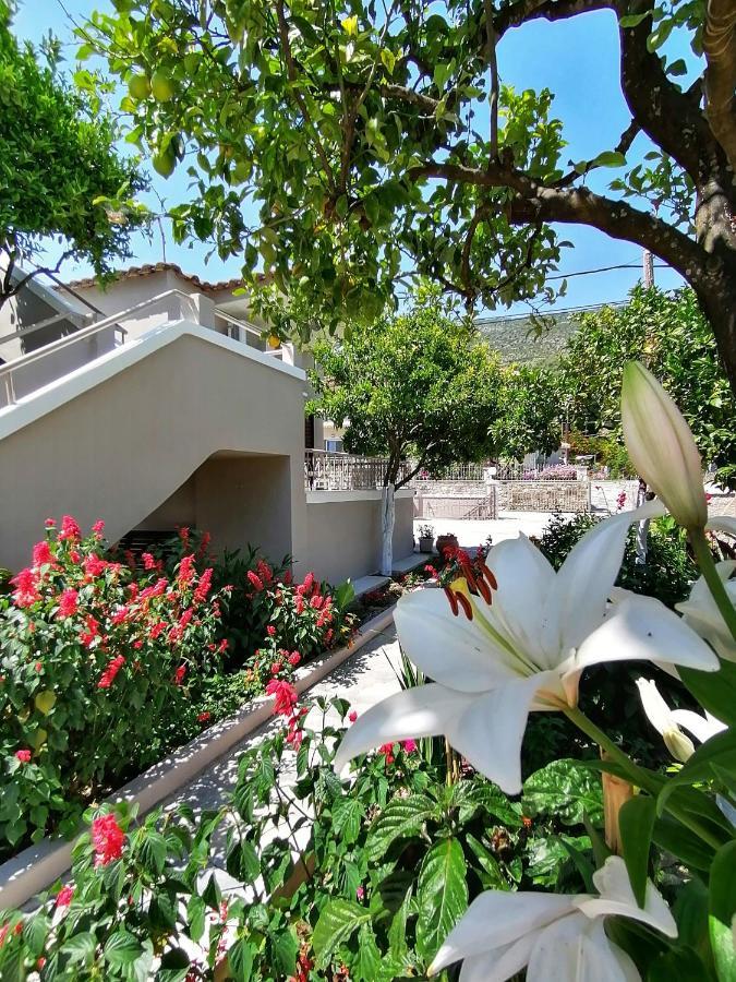 Villa Nikolaou Parga Exteriör bild